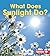 What Does Sunlight Do? (First Step Nonfiction — Let's Watch the Weather)