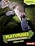 Platypuses: Web-Footed Billed Mammals (Comparing Animal Traits)