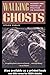Walking Ghosts by Steven Dudley