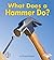 What Does a Hammer Do? (First Step Nonfiction — Tools at Work)