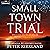 Small Town Trial: Spencer Dunn Legal Thrillers, Book 1