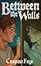 Between the Walls