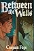 Between the Walls
