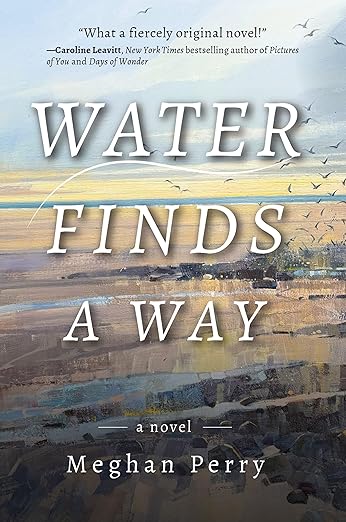 Book cover: Water Finds a Way by Meghan Perry