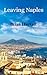 Leaving Naples by Brian Hackett Leaving Naples by Brian Hackett