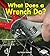 What Does a Wrench Do? (First Step Nonfiction — Tools at Work)