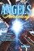 ANGELS AWAKENING: UNTOLD OR...