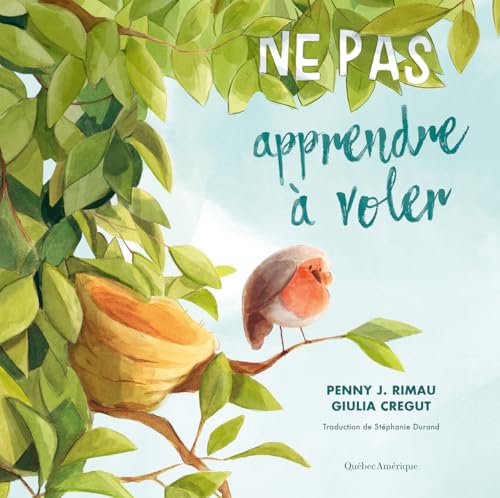 Ne pas apprendre à voler (French Edition)