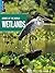 Grasslands (Biomes of the World)