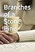 Branches of a Stone Pine