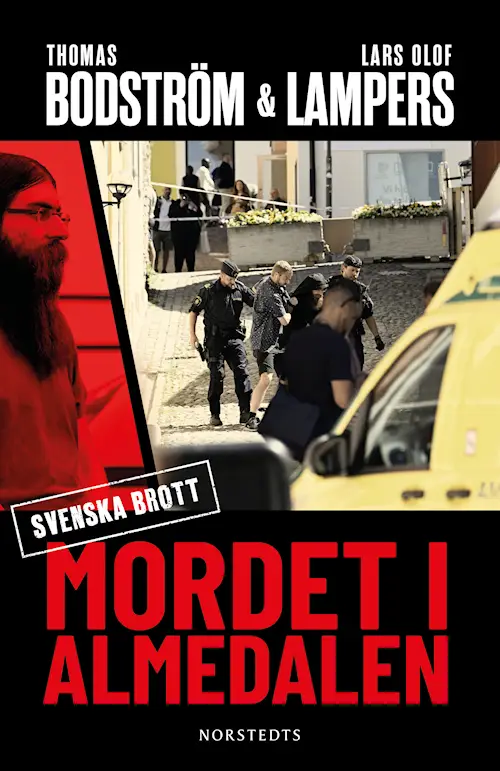Mordet i Almedalen (Svenska brott #5)