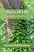 Slices of Life by Chantal Bellehumeur