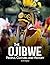 The Ojibwe (Indigenous Peoples)
