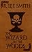 The Wizard in the Woods by R. Lee Smith