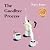 The Goodbye Process: Stories