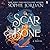 A Scar in the Bone: A Novel (A Fire in the Sky)