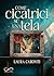 Come cicatrici su una tela by Laura Caroniti