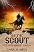On the Scout by Charlie Amos
