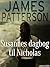 Susannes dagbog til Nicholas (Danish Edition)