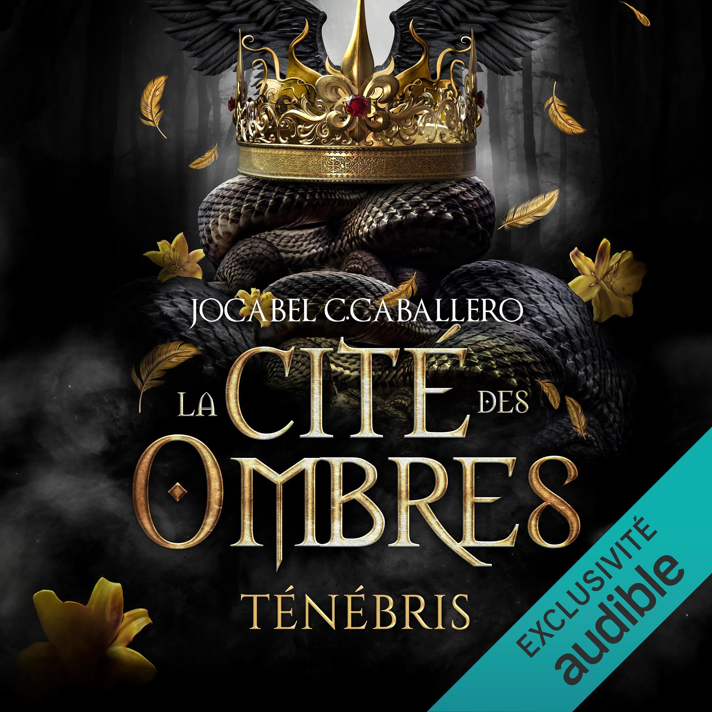 La Cité des Ombres: Ténébris, Vol. 1 (Audible Audio)