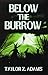 Below the Burrow: A Cosmic ...