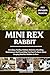 MINI REX RABBIT: Breeding, Feeding, Habitat, Behavior, Handling, Maintenance And Everything You Need To Know About Keeping Mini Rex Rabbits As Pets.