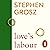 Love’s Labour by Stephen Grosz Love’s Labour by Stephen Grosz