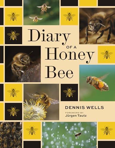Diary of a Honey Bee (Hardcover)