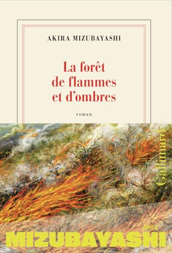 La forêt de flammes et d'ombres (Paperback)