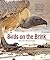 Birds on the Brink: South Africa’s threatened birds and those working to save them