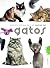 Enciclopedia de las Razas de Gatos