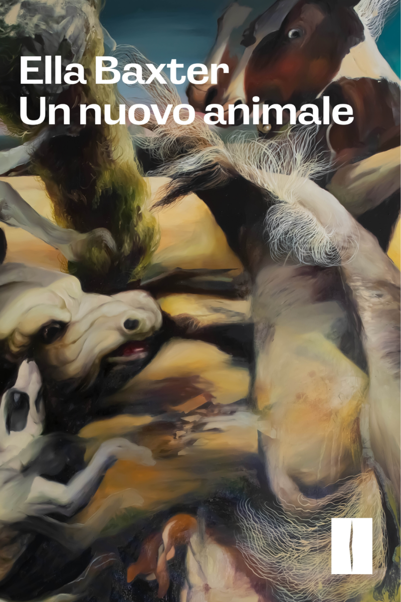 Un nuovo animale