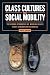 Class Cultures and Social M...