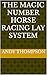 The Magic Number horse raci...
