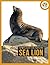 Sea Lion