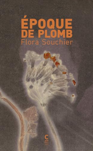 Époque de plomb (Paperback)