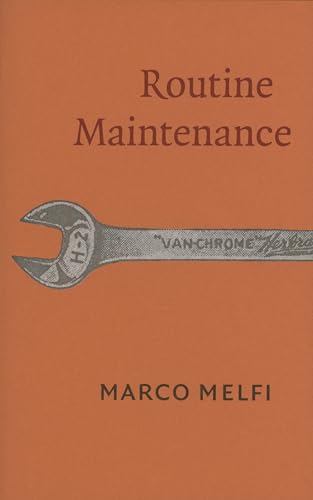 Routine Maintenance (Paperback)
