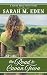 The Road to Cavan Town (Sweet Treat Novellas)