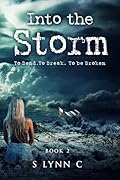 Into the Storm