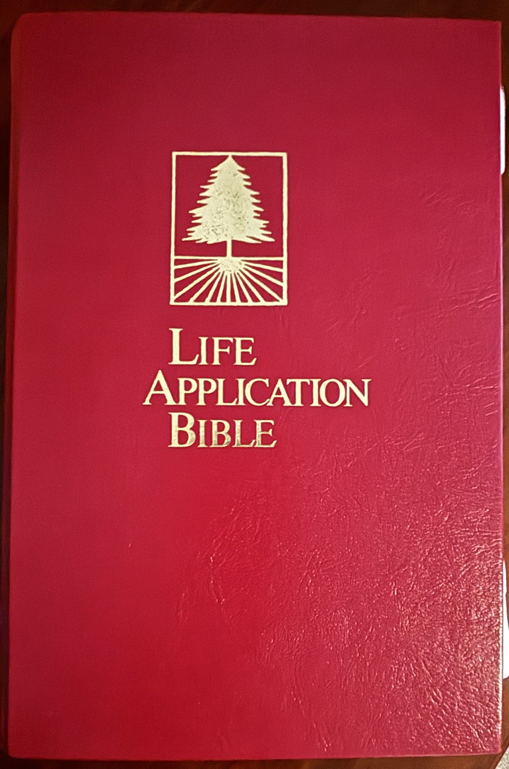 Life Application Bible: New International Version