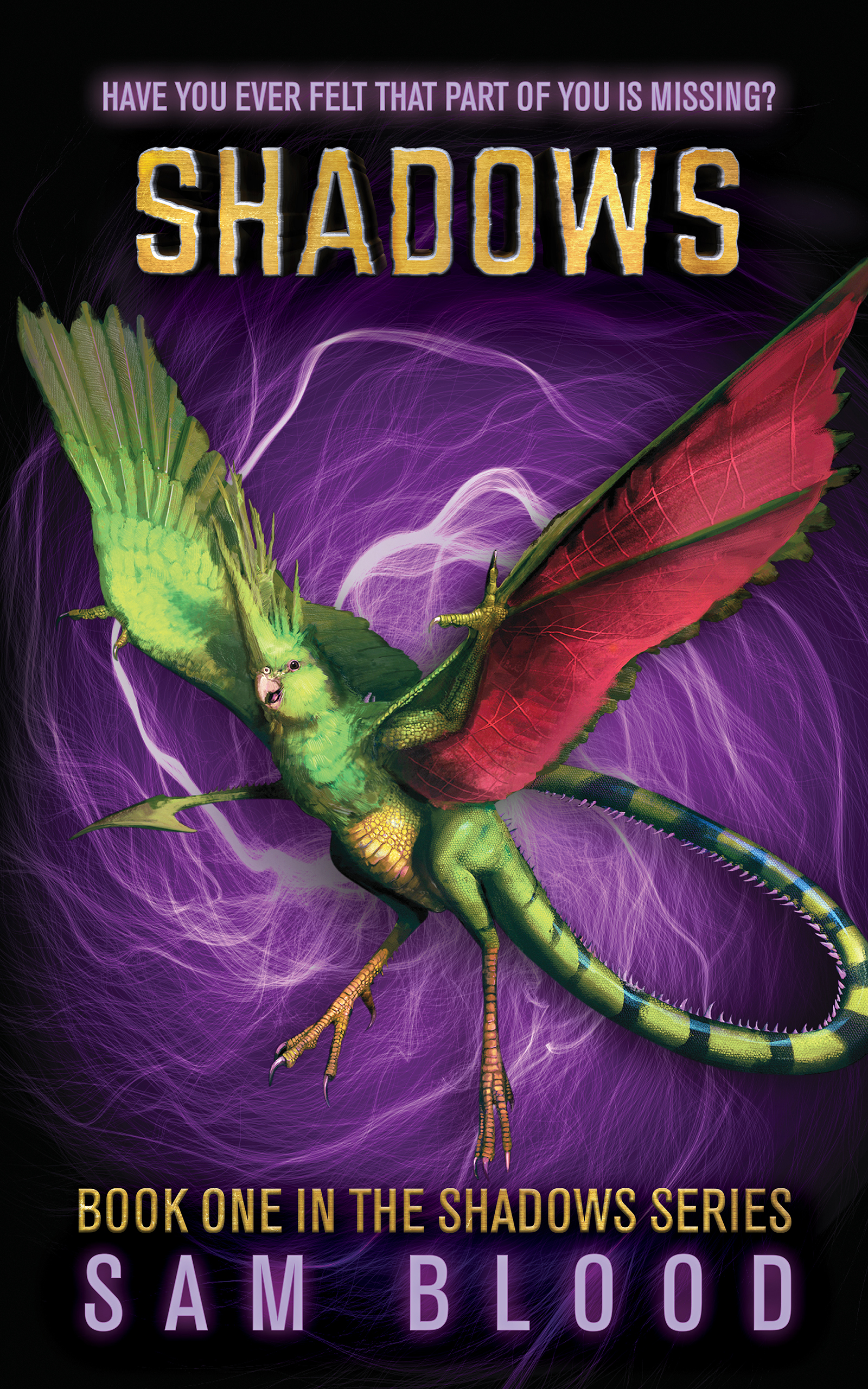 Shadows (Shadows Series Book 1)
