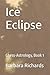Ice Eclipse