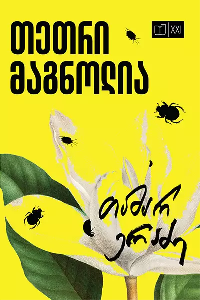 თეთრი მაგნოლია