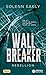 Wall Breaker by Solenn Sakly