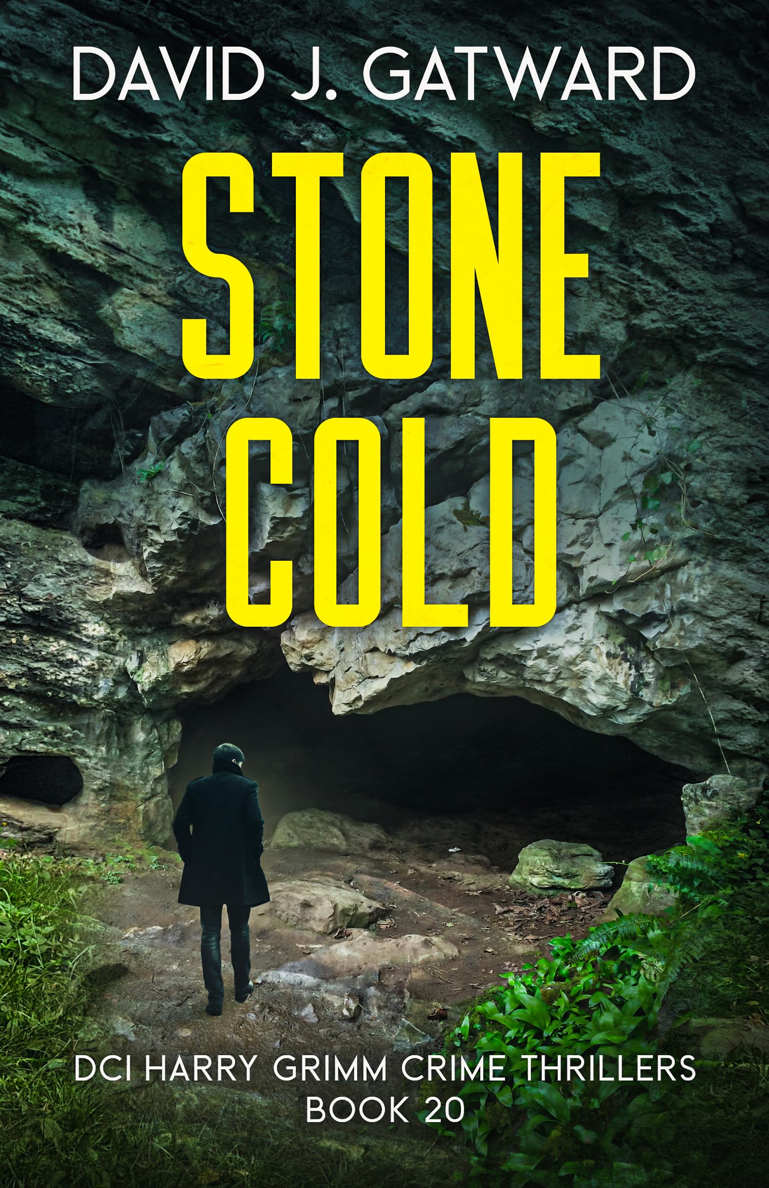 Stone Cold (DCI Harry Grimm, #20)