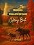 Riding in Yellowstone by A. Wilder