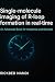SINGLE-MOLECULE IMAGING OF ...