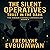 The Silent Operatives by Fredlyne Evbuomwan
