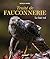 Traité de fauconnerie - Le bas-vol by Patrick Morel