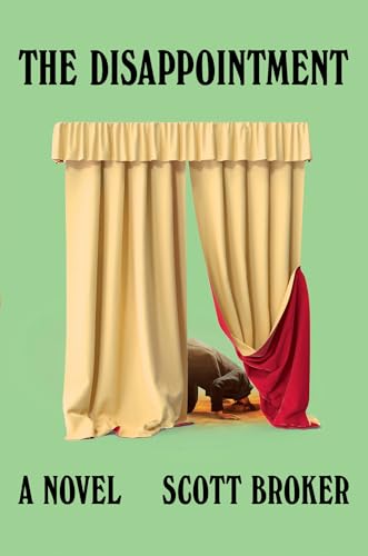 The Disappointment (Hardcover)